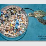 What is Microplastic Contamination?